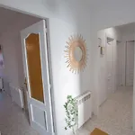 Apartment Ebro Vut 47-314